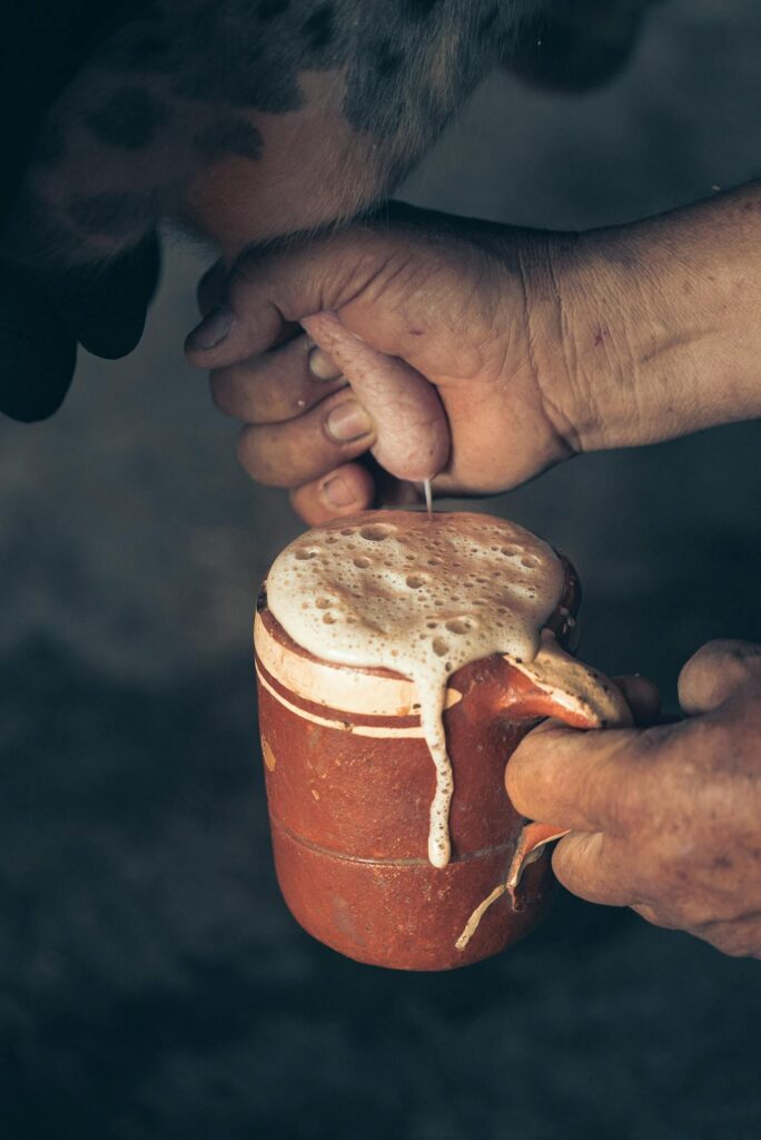 close-up-photo-of-a-person-s-hands-milking-a-cow.jpg
